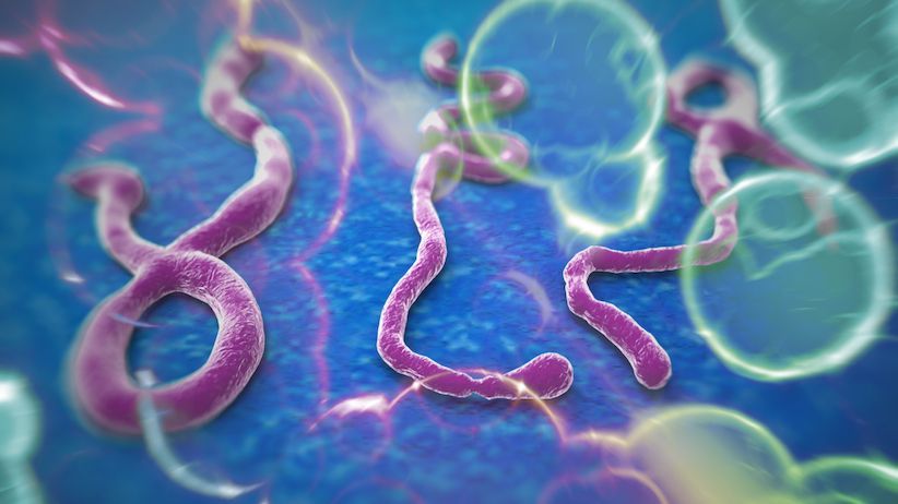 CDC 2014 Ebola Surge
